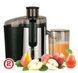 Соковитискач Rotex RJW500-S RJW500-S фото 1